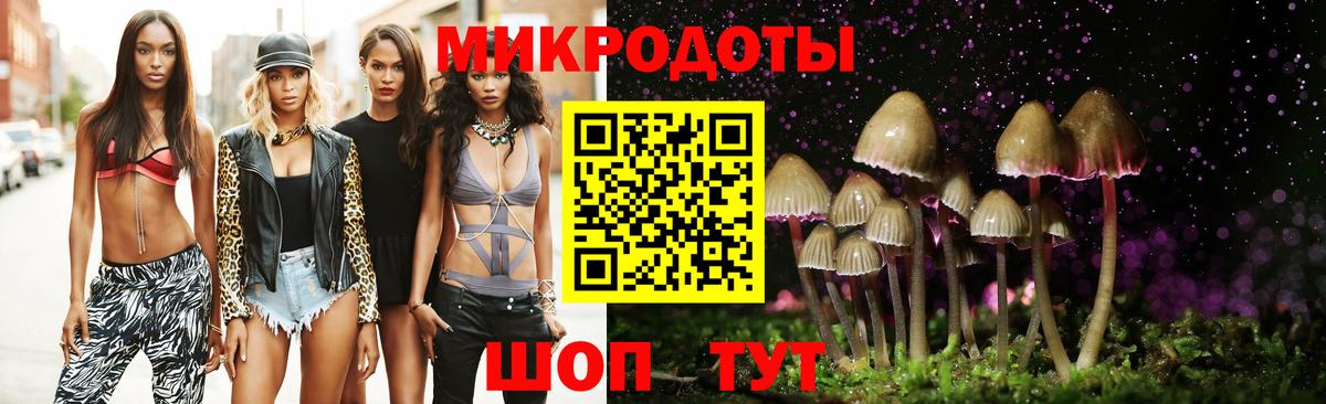 Скопин  Галлюциногенные грибы Psilocybe  Вход с VPN 